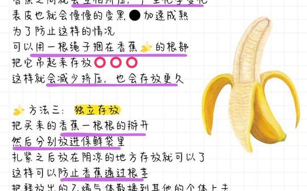 把香蕉弄进女人桃子里(桃子香蕉可以一起榨汁吗)