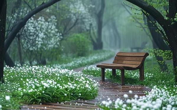 春雨平台怎么看安装_()的春雨