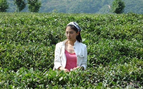 茶色生香完整版在线观看-茶色生香的电影资源