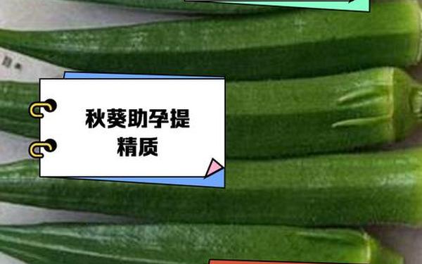 草莓芒果秋葵丝瓜香蕉绿巨人、秋葵香蕉草莓芒果绿巨人