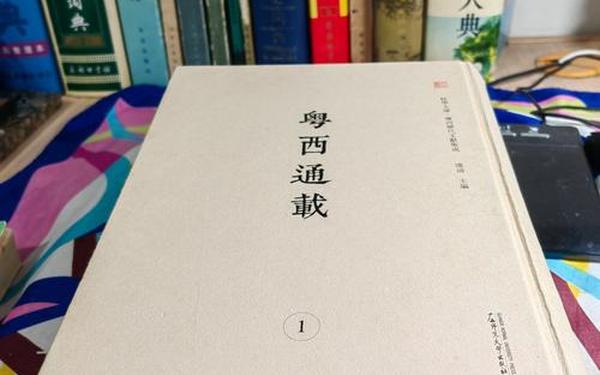丰年经的继拇中(丰年经的继拇中文版)