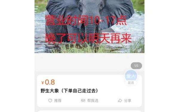 大象视频dx2回家领航;大象导航dx2022回家领航