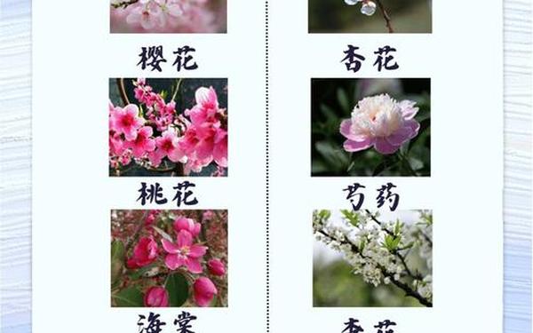 春天怎么看-春天有哪些现象 春天怎么看-春天有哪些现象