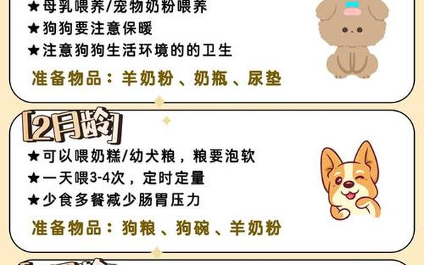 狗狗和人胶配方大全高清;动物配对成功视频大全