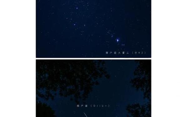 不见星空糖心logo,tangxin.vlogo