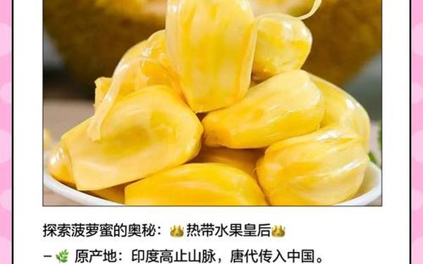 国精产品一二菠萝蜜 一二二菠萝蜜的品质 国精产品一二菠萝蜜 一二二菠萝蜜的品质