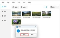 打扑克全过程软件下载_打扑克的软件下载大全视频