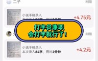 纯打字赚钱平台;打码录入赚钱平台