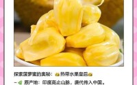 国精产品一二菠萝蜜 一二二菠萝蜜的品质