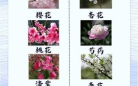 春天怎么看-春天有哪些现象