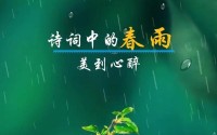 春雨app下载免费(春雨APP官方版优惠待遇)