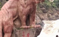 大象伊园2022年人口-伊园甸麻园大象数量变化的原因