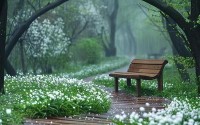 春雨平台怎么看安装_()的春雨