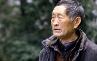 定期回娘家让爸爸弄离婚证_33岁女儿跟父亲11年未见面剧情